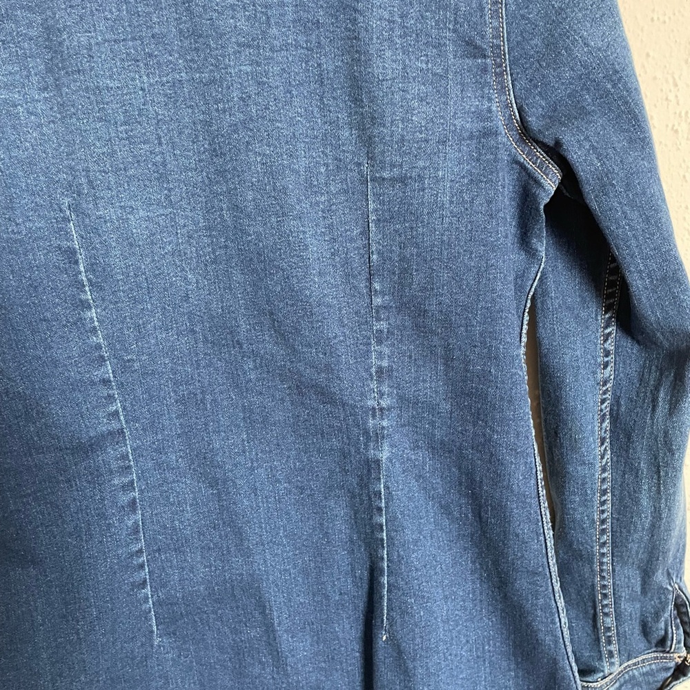 Dex Denim Snap Dress - Picture 7 of 7